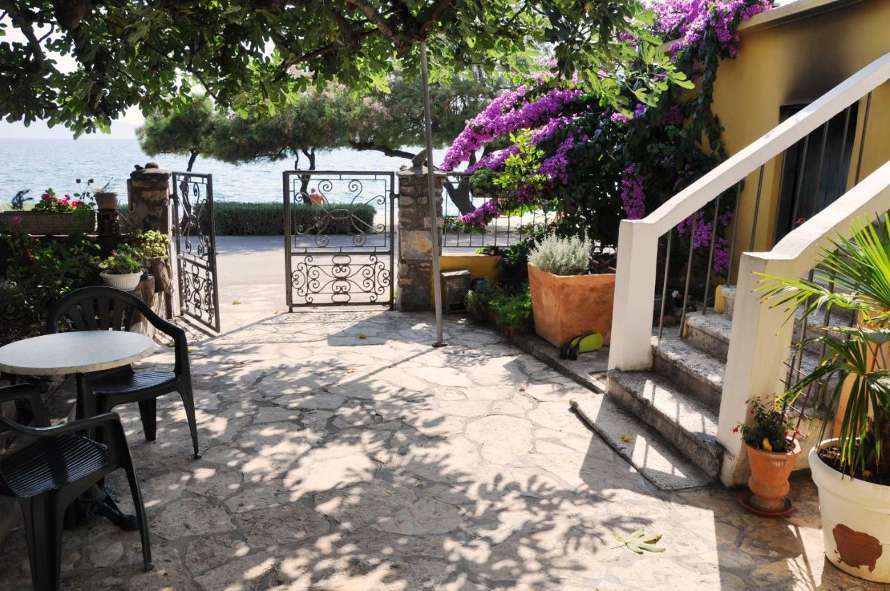 Apartments Matesic ซาดาร์ ภายนอก รูปภาพ